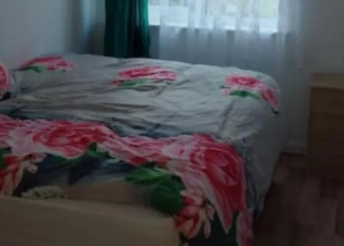 Veggie Single Room In 2 Bed Flat, Close To Nec